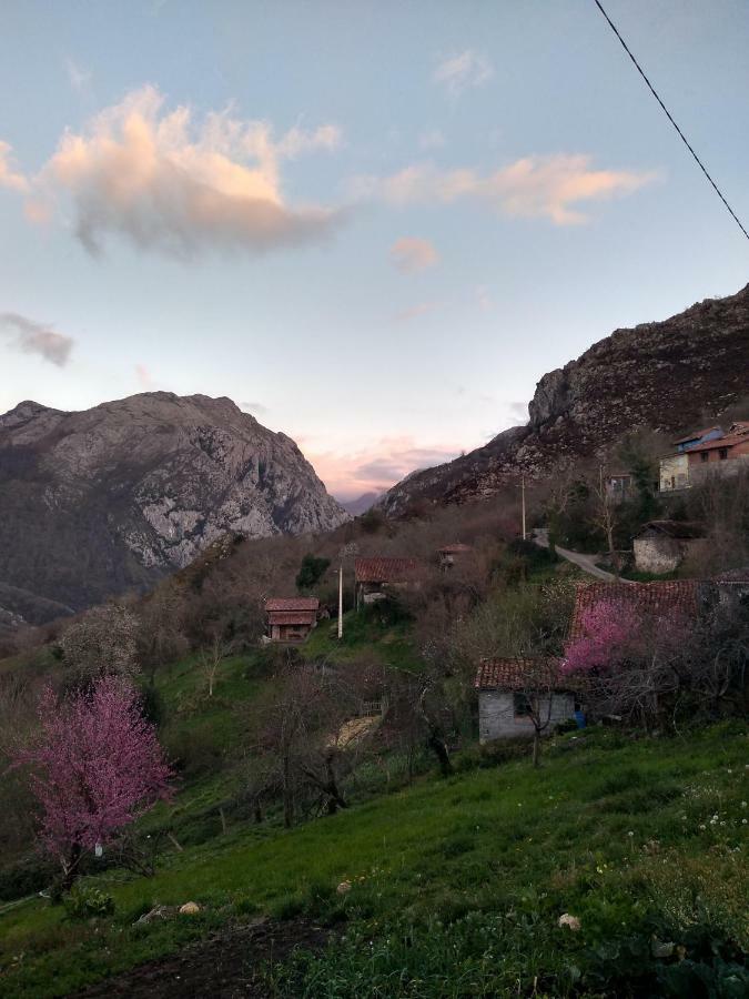 Vista El Llagar别墅 外观 照片